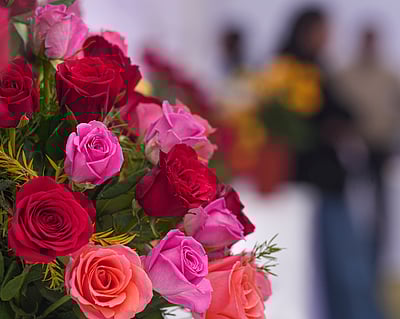 அகில இந்திய குளிர்கால ரோஜா கண்காட்சி