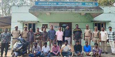 ஒசூரில் யானை தந்தம் விற்க முயன்ற 7 போ் கைது