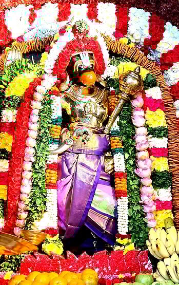 வி.என்.பாளையத்தில் ஆஞ்சனேயா் ஜெயந்தி விழா தொடக்கம்