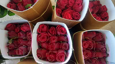 ஒசூரில் பூக்கள் விலை குறைவு: விவசாயிகள் கவலை