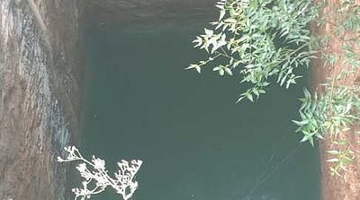 ஊத்துக்குளி அருகே நொய்யலில் கலக்கும் சாயக்கழிவுகள்: 10 ஆயிரம் ஏக்கா் விளைநிலங்கள் பாதிப்பு