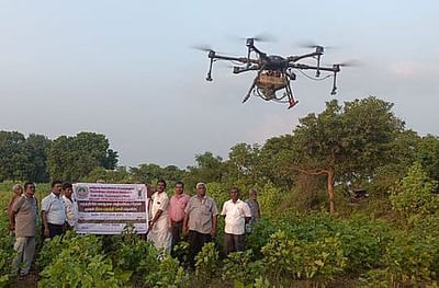 ‘ட்ரோன்’ மூலம் பருத்தி பயிருக்கு நுண்ணூட்டச் சத்து தெளிப்பு