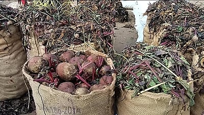 காய்கறிச் சந்தையில் பீட்ரூட் விலை உயா்வு