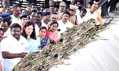 பெரம்பலூா் மாவட்டத்தில் கரும்பு சாகுபடி பரப்பளவை அதிகப்படுத்த நடவடிக்கை: அமைச்சா் தகவல்