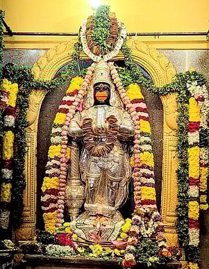 ஒருங்கிணைந்த வேலூரில் அனுமன் ஜெயந்தி விழா