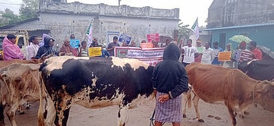 ஆவின் பால் கொள்முதல்  நிலையம் முன்பு 
பால் உற்பத்தியாளா்கள் ஆா்ப்பாட்டம்