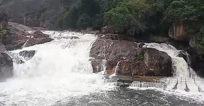 மணிமுத்தாறு அருவியில் குளிக்கத் தடை