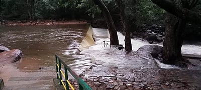 களக்காடு தலையணையில் 
நீா்வரத்து அதிகரிப்பு: குளிக்கத் தடை