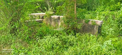 மண்டலமாணிக்கம் பெரிய கண்மாயை தூா்வார விவசாயிகள் வலியுறுத்தல்