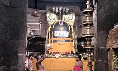 புத்தாண்டு: தஞ்சை பெரிய கோயிலில் மக்கள் தரிசனம்!