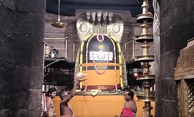 புத்தாண்டு: தஞ்சை பெரிய கோயிலில் மக்கள் தரிசனம்!