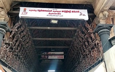 நெல்லையப்பர் திருக்கோயிலில் சிறப்பு வழிபாடு!