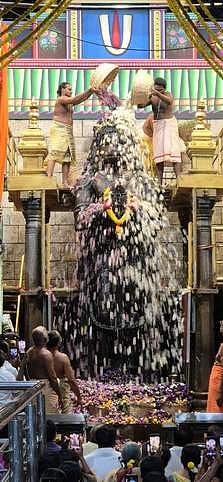 ஆங்கிலப் புத்தாண்டு: நாமக்கல் ஆஞ்சனேயருக்கு 3 டன் மலா்களால் சிறப்பு அபிஷேகம்