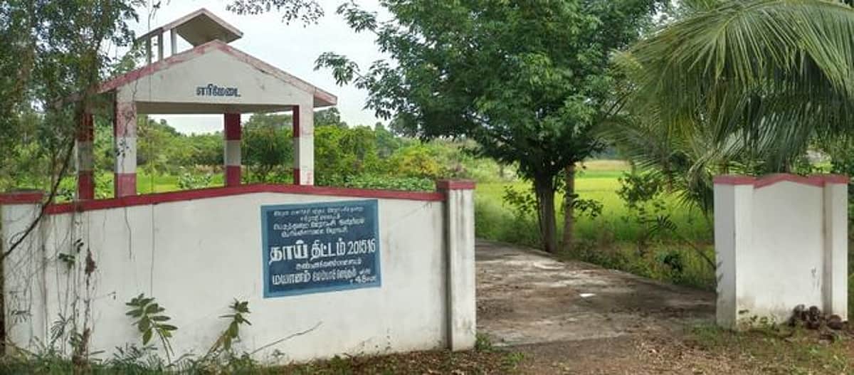 News image