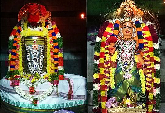 புத்தாண்டுப் பிறப்பையொட்டி புதன்கிழமை சிறப்பு அலங்காரத்தில் காட்சி தந்த புதுக்கோட்டை திருவப்பூா் சாந்தநாத சுவாமி மற்றும் வேதநாயகி அம்பாள்