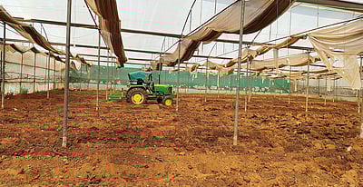 ஒசூரில் பசுமைக் குடில் அமைத்து அதிக வருவாய் ஈட்டும் விவசாயிகள்