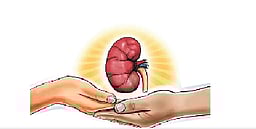 மூளைச்சாவு அடைந்த தொழிலாளியின் உடல் உறுப்புகள் தானம்