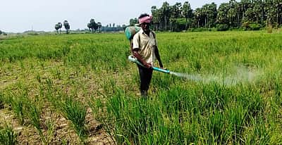 ‘பூச்சிக்கொல்லி மருந்துகள்: எச்சரிக்கை தேவை’