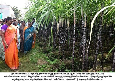 பொங்கல் பரிசுத் தொகுப்பு: நாமக்கல் மாவட்டத்தில் 5.40 லட்சம் கரும்புகள் கொள்முதல்