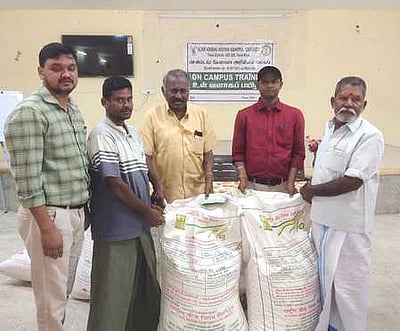 விவசாயிகளுக்கு நிலக்கடலை விதைகள் அளிப்பு