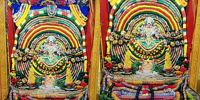 மண்ணச்சநல்லூர் பகவதி அம்மன் கோவில் திருவிழா: பக்தர்கள் தரிசனம்! 