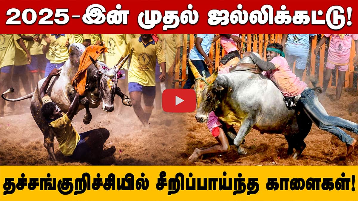 2025-இன் முதல் ஜல்லிக்கட்டு! தச்சங்குறிச்சியில் சீறிப்பாய்ந்த காளைகள்! 

