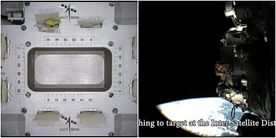 விண்வெளி செடி வளர்ப்பு சோதனை: காராமணி தேர்வு செய்யப்பட்டது ஏன்?