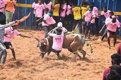 ஜல்லிக்கட்டு: நாளை(ஜன.6) முன்பதிவு தொடக்கம்  