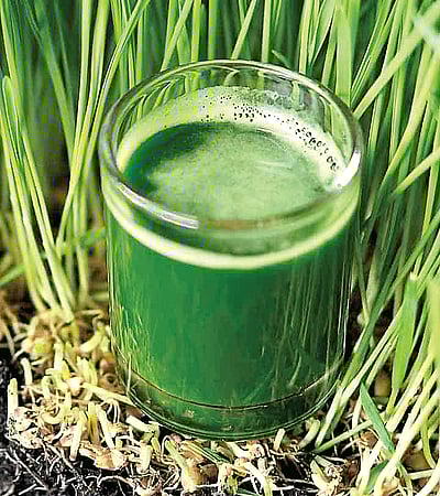 பாட்டி வைத்தியம்...