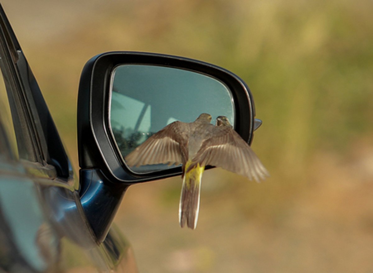 குடைகவித் தனையது கோல மாமுடி...