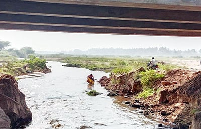 பாலாற்றில் கொட்டப்படும் கோழி இறைச்சிக் கழிவுகள்