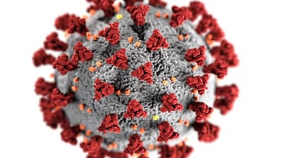 எச்எம்பிவி தீநுண்மி: வேகமாய் பரவுகிறது வதந்தி!