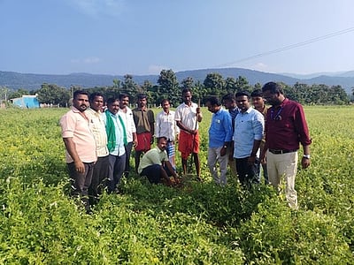 பொம்மி குப்பத்தில் ஆக்கிரமிப்புக்கள் அகற்றம்