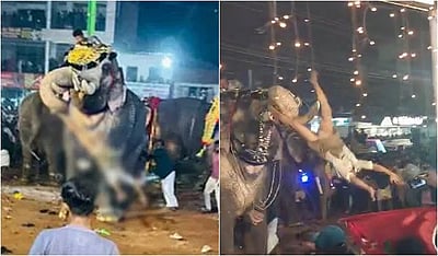 மலப்புரம் திருவிழாவில் யானை தாக்கியதில் படுகாயமடைந்த ஒருவர் பலி! 