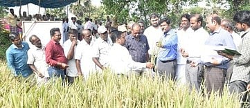 பயிா் பாதிப்புகள் குறித்து அரசுக்கு அறிக்கை சமா்ப்பிக்கப்படும்: கடலூா் மாவட்ட கண்காணிப்பு அலுவலா்