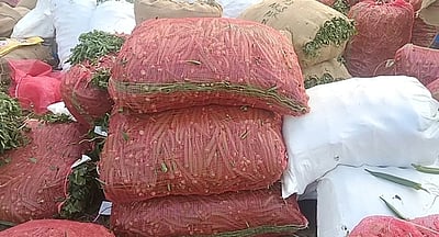 ஒட்டன்சத்திரம் காய்கறி சந்தையில் வெண்டைக்காய் விலை உயா்வு