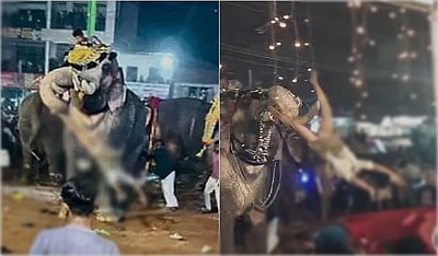 மலப்புரம்: தும்பிக்கையால் தூக்கி வீசிய யானை; மிரண்டு ஓடிய 21 பேர் காயம்!