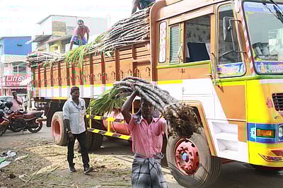 பொங்கல் பரிசுத் தொகுப்பு இன்று முதல் விநியோகம்
