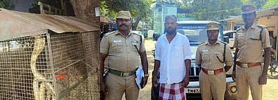 நாகப்பாம்பை கூண்டுக்குள் அடைத்து வளா்த்ததாக திரைப்பட நடிகா் கைது