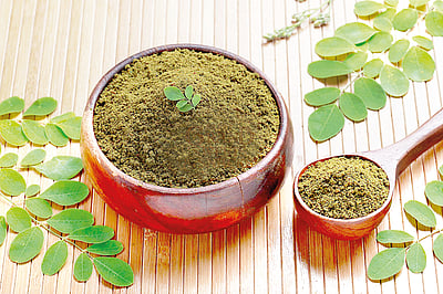 முருங்கை இலைப் பொடி