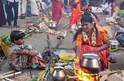 பொங்கல் கொண்டாட்டம் - புகைப்படங்கள்