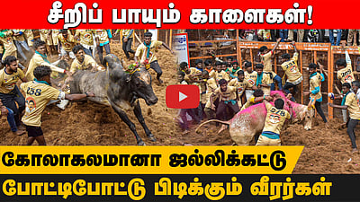கோலாகலமாய் நடைபெற்று வரும் அவனியாபுரம் ஜல்லிக்கட்டு | Jallikattu
