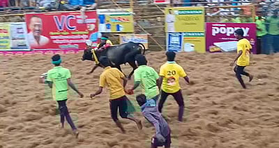 பாலமேடு ஜல்லிக்கட்டு நிறைவு! 14 காளைகளை அடக்கியவருக்கு முதல் பரிசு!