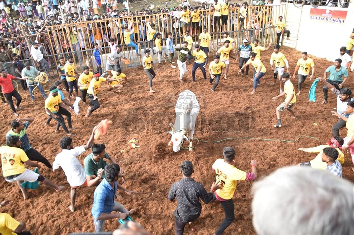 News image