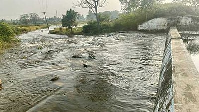 ஊத்தங்கரை அருகே ஏரிக்கரை உடைந்து 50 ஏக்கா் நெற்பயிா்கள் சேதம்