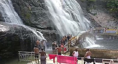 கனமழை: குற்றால அருவியில் குளிக்கத் தடை!