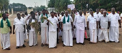 மழையால் சேதமடைந்த பயிா்களுடன் ஆட்சியரகத்தில் விவசாயிகள் முறையீடு