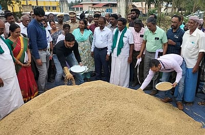 நெல்லில் ஈரப்பதம்: தஞ்சாவூா் மாவட்டத்தில் 5 இடங்களில் மத்திய குழு ஆய்வு 
