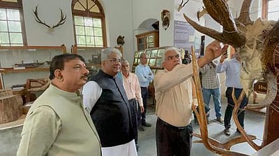 வனப் பரப்பு பாதுகாப்பு தொடா்பாக ஆலோசனை: மத்திய அமைச்சா் பூபேந்தா் யாதவ் பங்கேற்பு