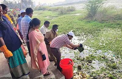 திருவள்ளூா் அருகே கோயில் குளத்தில் நெகிழி கழிவு அகற்றும் பணி தொடக்கம்